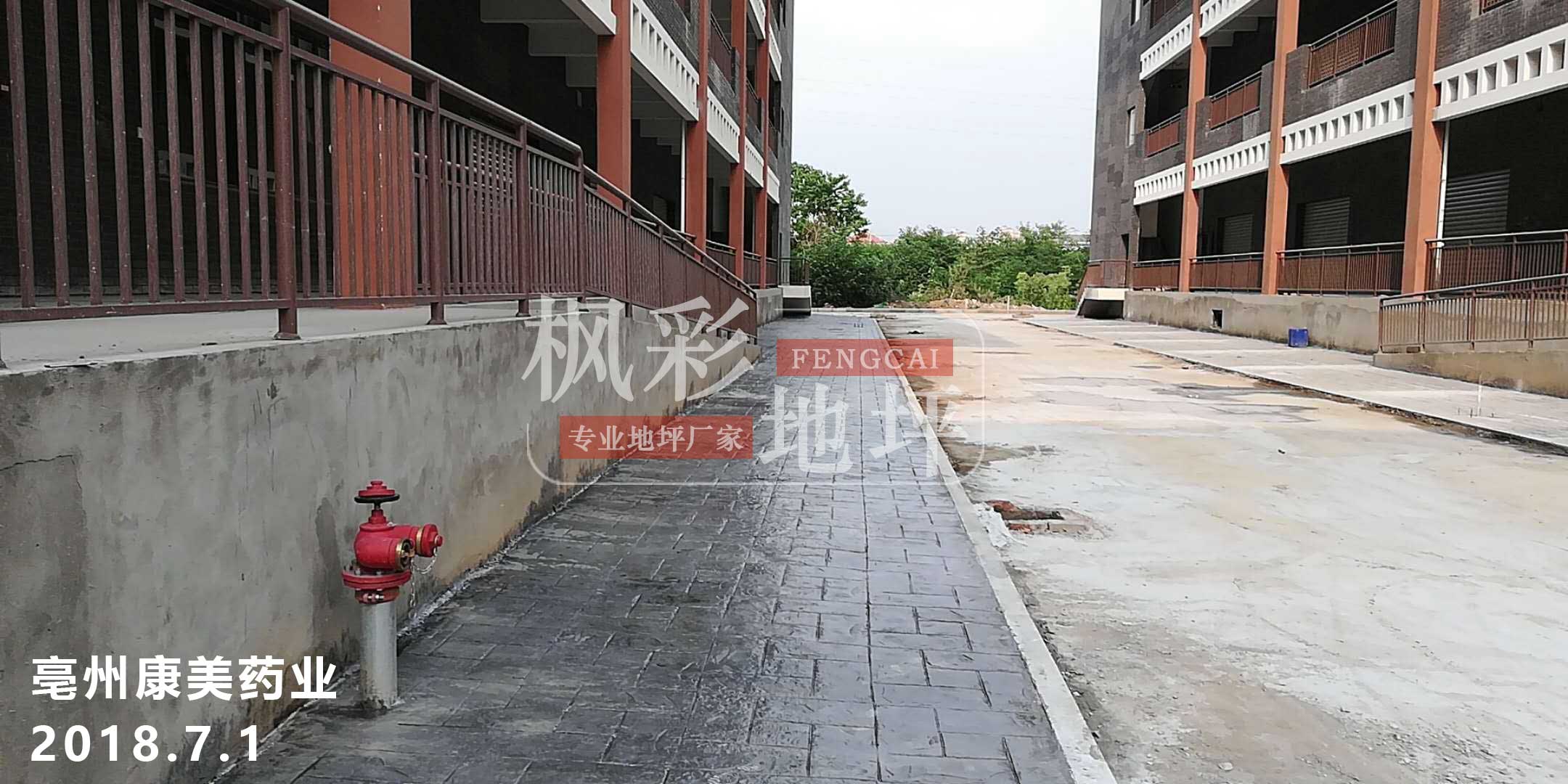 亳州康美藥業(yè)