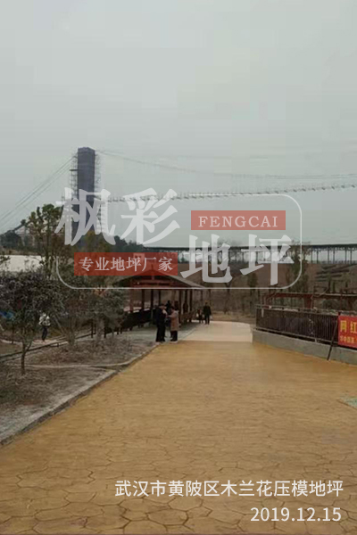 武漢市黃陂區木蘭花壓模地坪